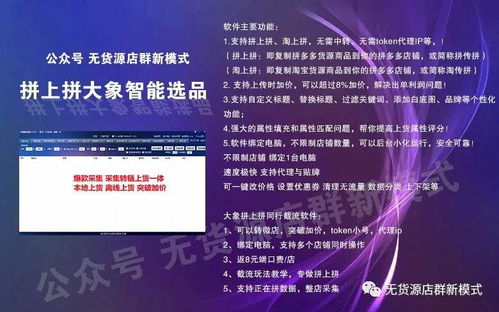 拼多多無貨源店群模式解析 運營技術、招商代理與風險規避指南